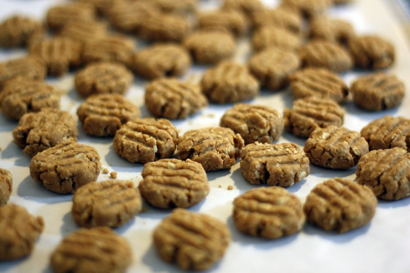 peanut butter and oatmeal dog treats